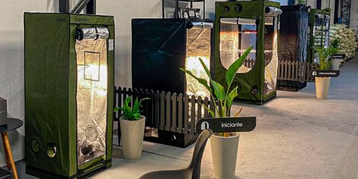 Estufa de Cultivo Indoor em São Paulo