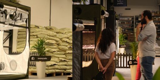 leds indoor se destaca entre os grow shops em São Paulo