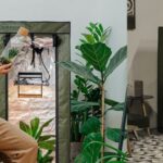 Growshop em São Paulo: descubra onde encontrar equipamentos de cultivo indoor com suporte especializado