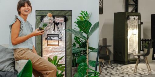 Growshop em São Paulo: descubra onde encontrar equipamentos de cultivo indoor com suporte especializado Growshop em São Paulo: descubra onde encontrar equipamentos de cultivo indoor com suporte especializado