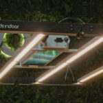 Loja de Cultivo Indoor em São Paulo