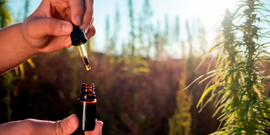 Panorama Canabico: Abril com Avanços no Brasil, debates sobre a Cannabis no mundo, progressos na Europa e dúvidas nos EUA