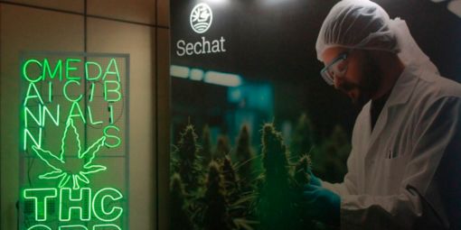 Medical Cannabis Fair 2025: Leds Indoor participa da principal feira do setor canábico medicinal no Brasil Medical Cannabis Fair 2025: Leds Indoor participa da principal feira do setor canábico medicinal no Brasil